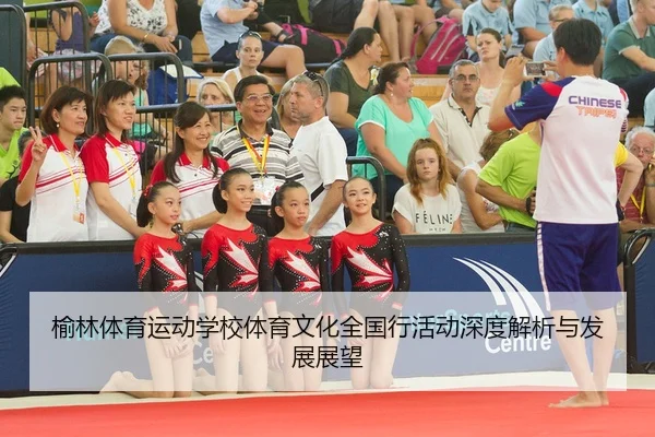 yu-lin-ti-yu-yun-dong-xue-xiao-ti-yu-wen-hua-quan-guo-xing-huo-dong-shen-du-jie-xi-yu-fa-zhan-zhan-wang-2-466.jpg