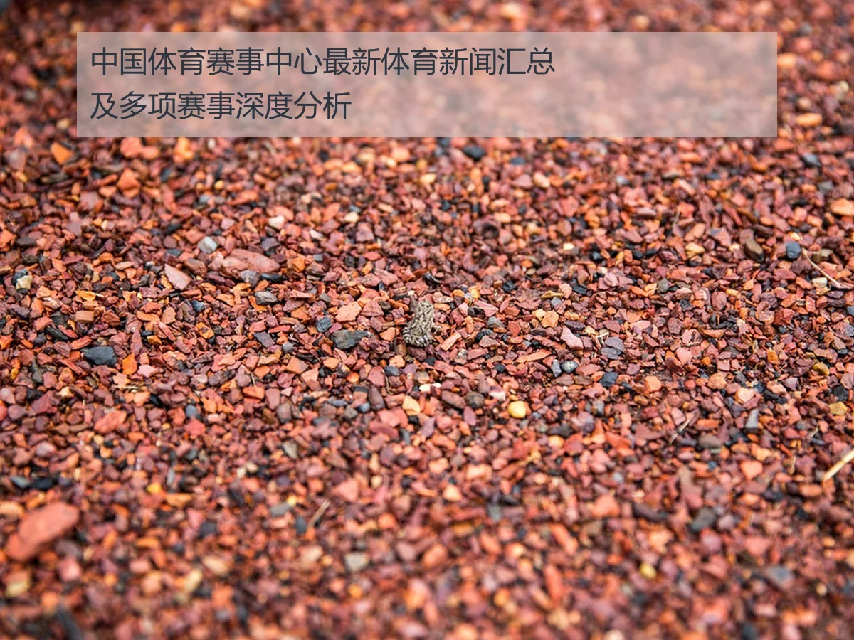 中国体育赛事中心最新体育新闻汇总及多项赛事深度分析